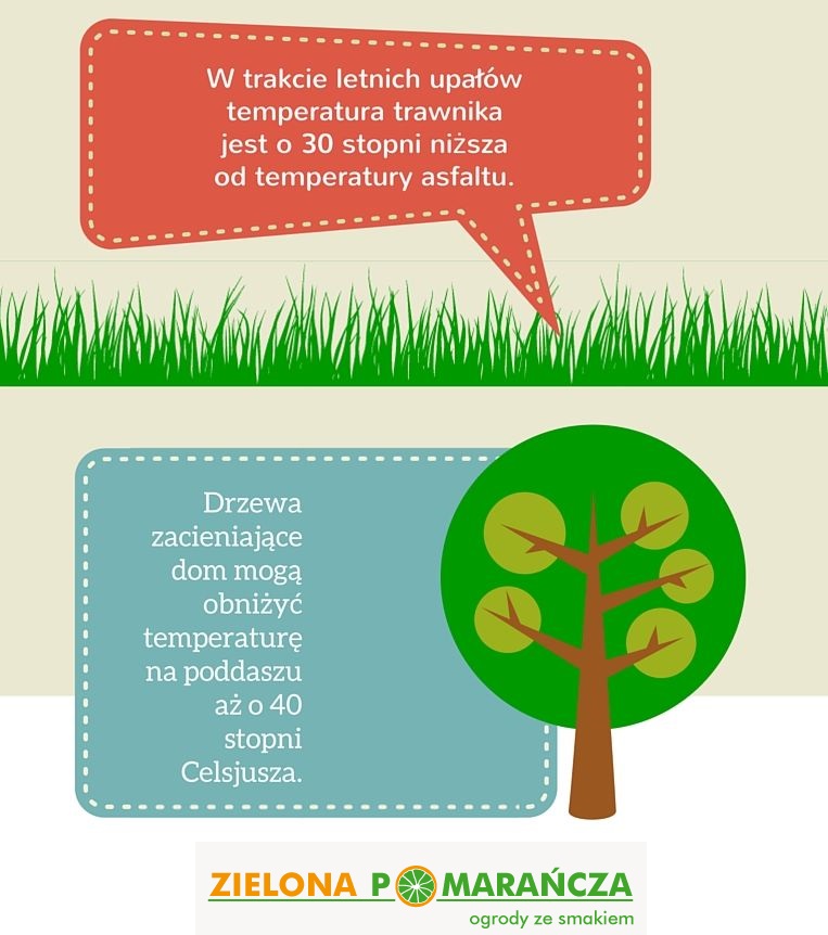 Infografika Ogrody Trawniki Drzewa